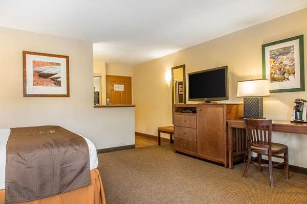 Suite - Black Swan Inn Lee