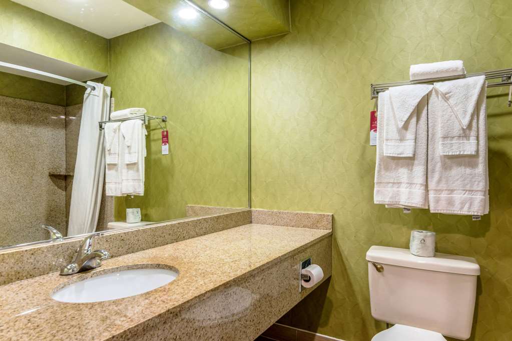ECONO LODGE POCOMOKE CITY HWY 13-guestroom-Guest Room,Bathroom,On-Site.jpg