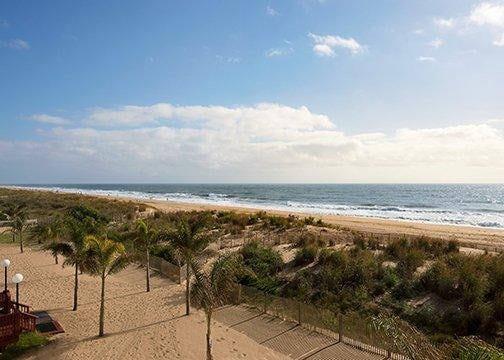 Beach views