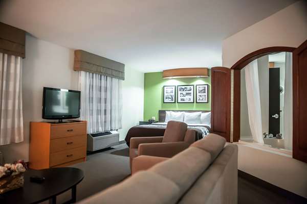 Suite - Sleep Inn & Suites Emmitsburg