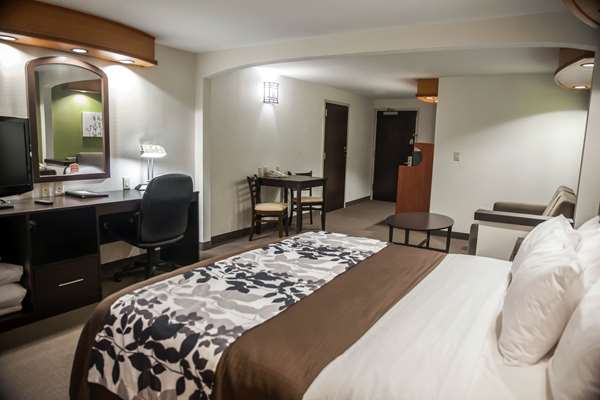 Suite - Sleep Inn & Suites Emmitsburg