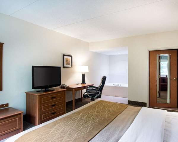 Suite - Comfort Inn & Suites LaVale