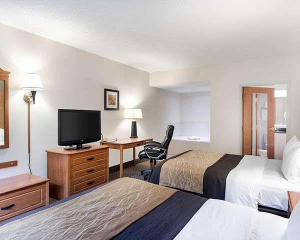 Suite - Comfort Inn & Suites LaVale