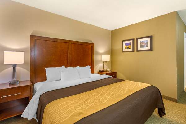  - Comfort Inn Red Horse Frederick