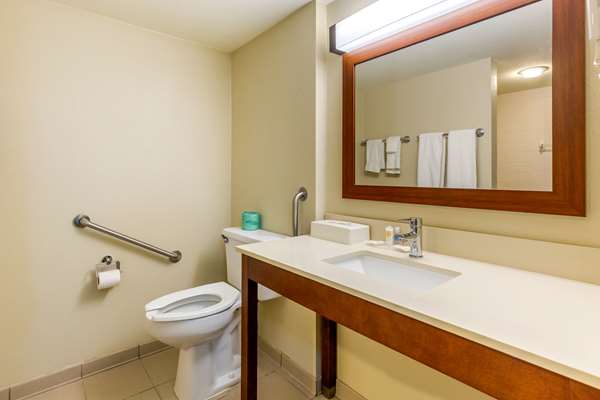  - Comfort Inn Red Horse Frederick