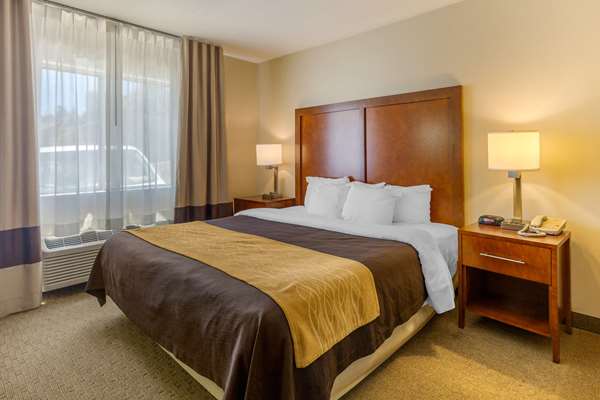  - Comfort Inn Red Horse Frederick