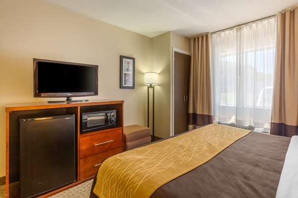 - Comfort Inn Red Horse Frederick