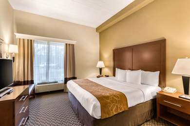 Guest Room,Suite,On-Site