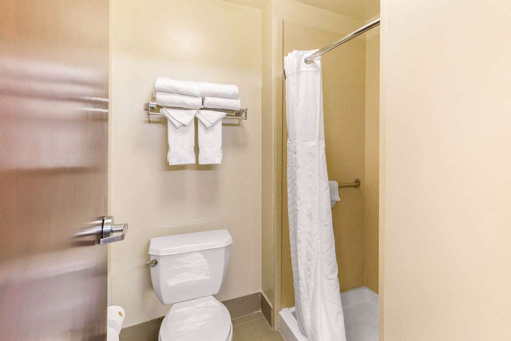 COMFORT SUITES COLUMBIA GATEWAY-guestroom-Guest Room,Bathroom,On-Site.jpg
