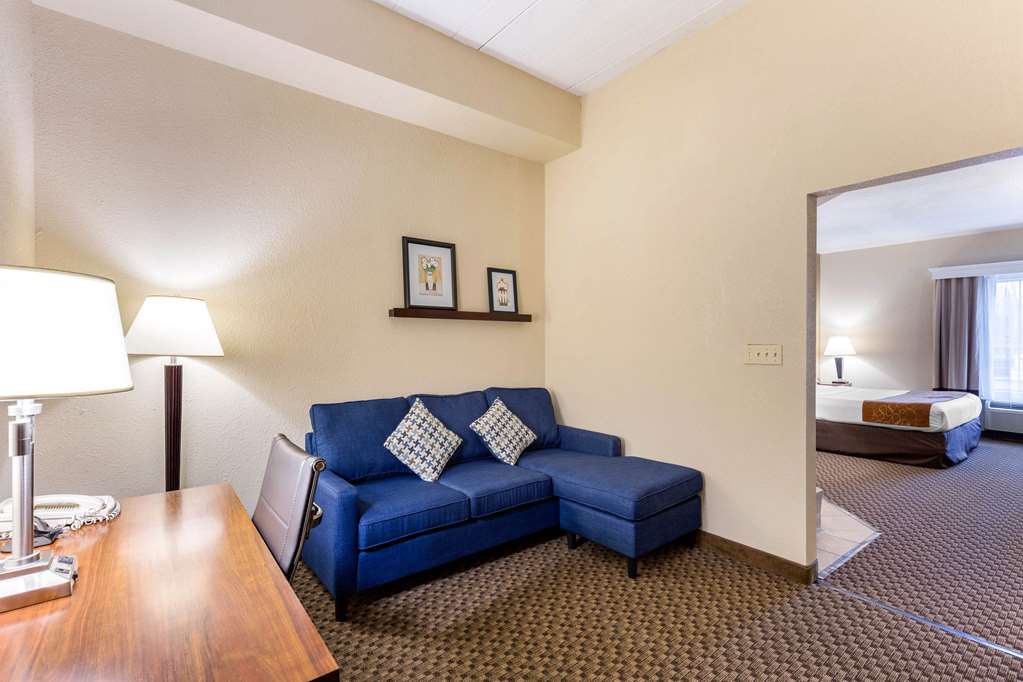 COMFORT SUITES COLUMBIA GATEWAY-guestroom-Guest Room,Suite,On-Site.jpg
