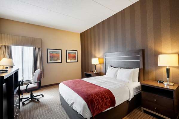 Suite - Quality Inn & Suites Edgewood - I-95, Exit 77