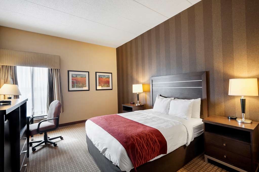 QUALITY INN AND SUITES BEL AIR I-95-guestroom-Guest Room,Suite,On-Site.jpg