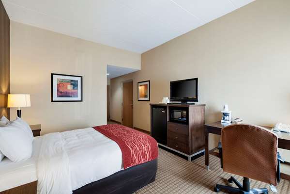 Suite - Quality Inn & Suites Edgewood - I-95, Exit 77