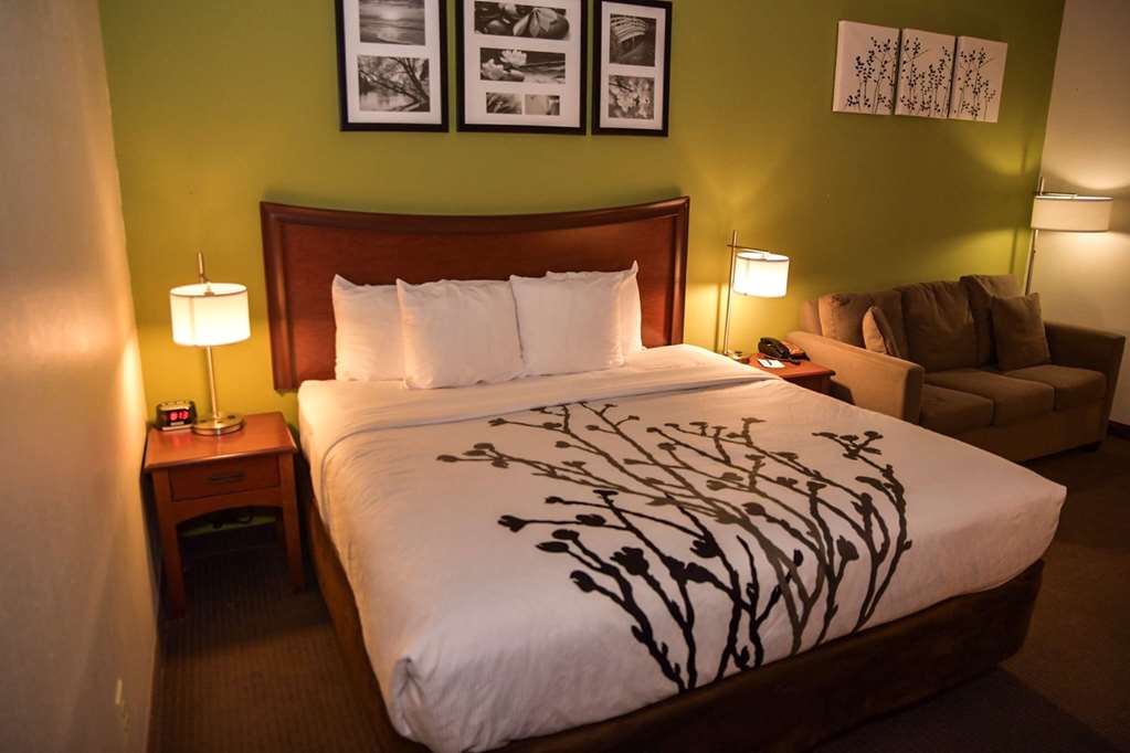 SLEEP INN AND SUITES LAUREL NEAR FO-guestroom-Guest Room,On-Site.jpg