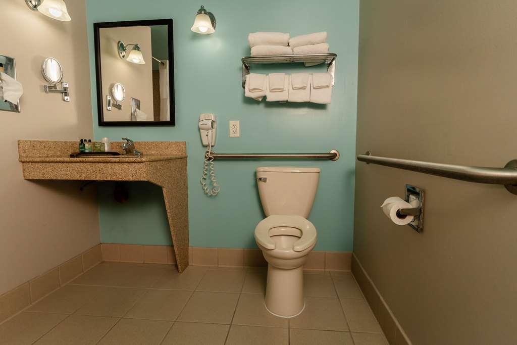 GATEWAY HOTEL AND SUITES AN ASCEND-guestroom-Guest Room,Bathroom,On-Site.jpg