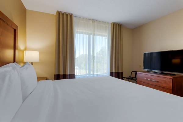 Suite - Comfort Suites & Suites Cambridge