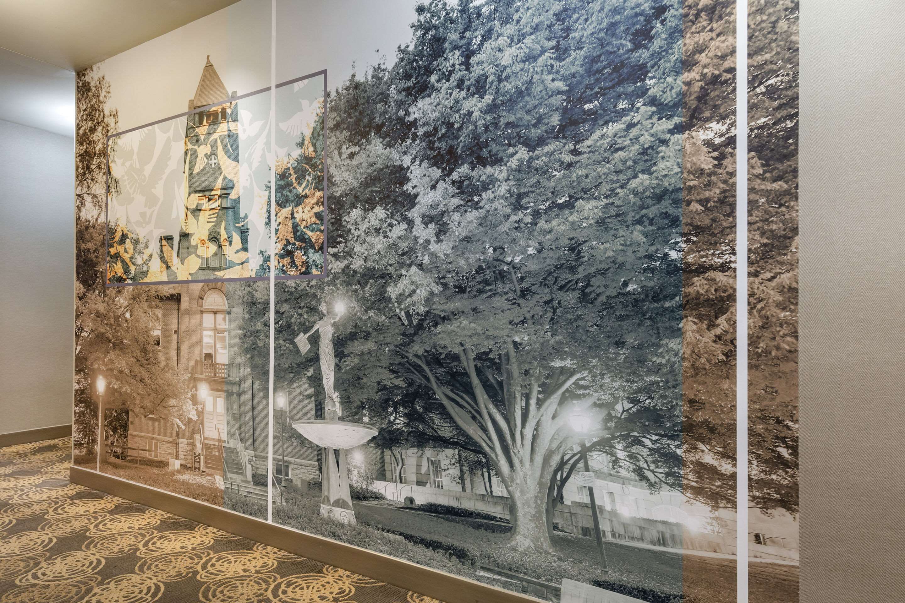 Art | Cambria Hotel Rockville