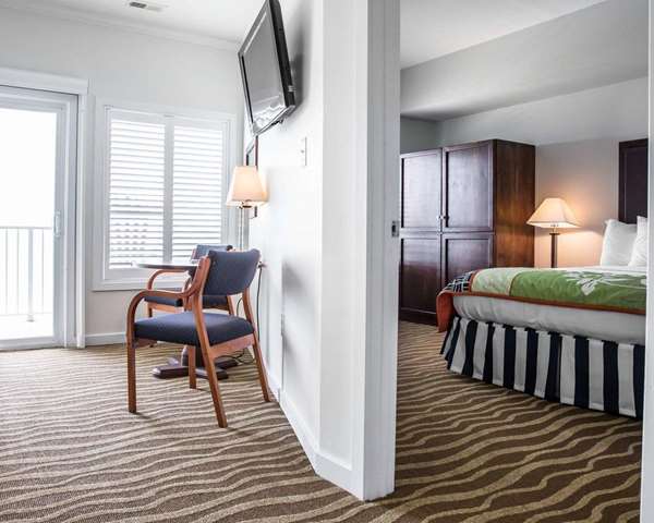 Suite - Island Inn & Suites Piney Point