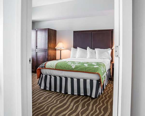Suite - Island Inn & Suites Piney Point