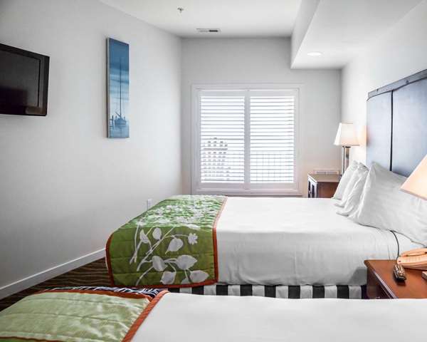 Suite - Island Inn & Suites Piney Point