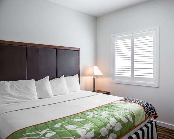 Suite - Island Inn & Suites Piney Point