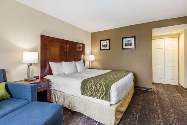 Suite - Comfort Inn Beltsville - I-95, Exit 29