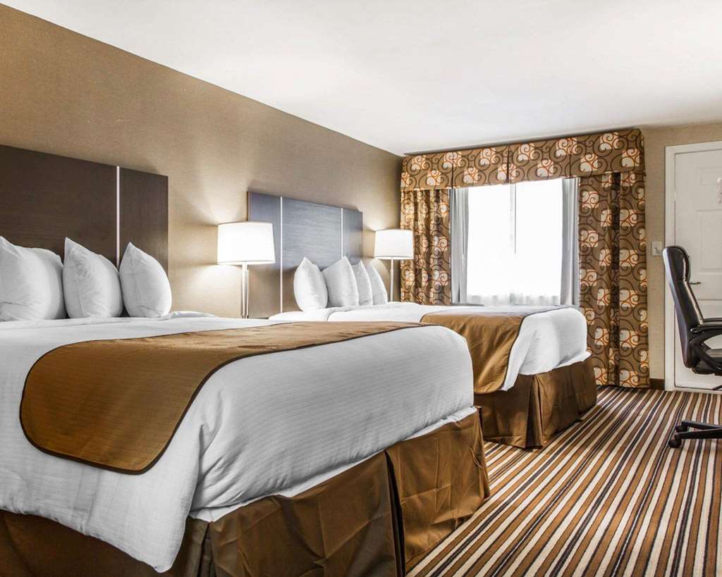 QUALITY INN AND SUITES-guestroom-Guest Room,On-Site.jpg