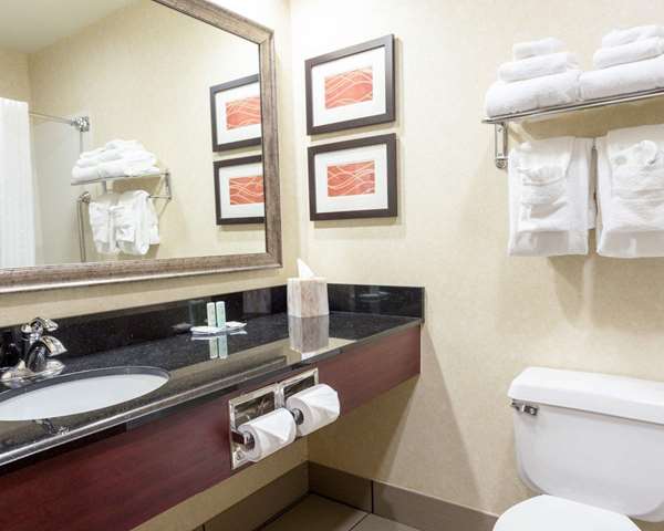  - Comfort Inn Civic Center Augusta