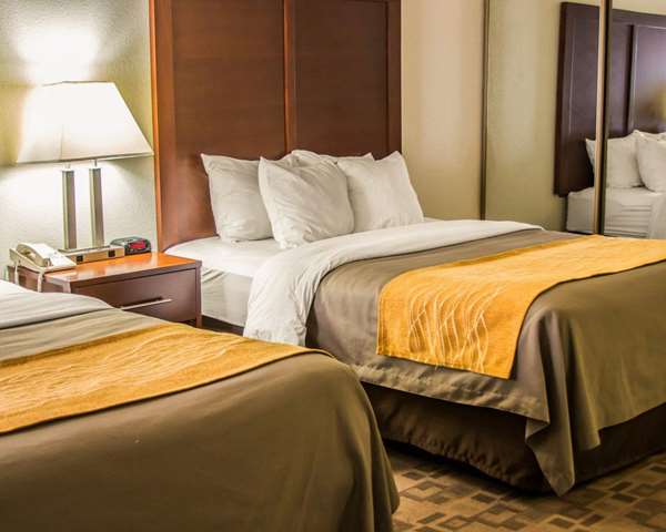  - Comfort Inn Birch Run - I-75, Exit 136
