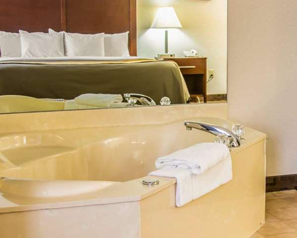  - Comfort Inn Birch Run - I-75, Exit 136