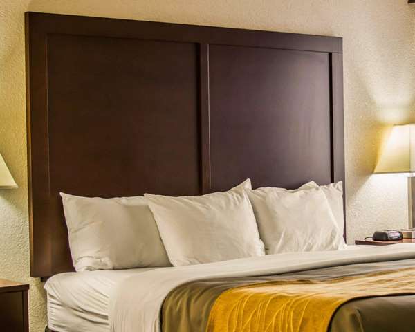 - Comfort Inn Birch Run - I-75, Exit 136