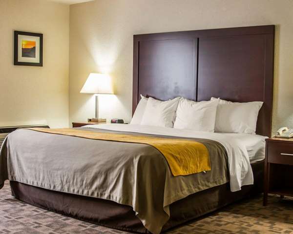 Suite - Comfort Inn Birch Run - I-75, Exit 136