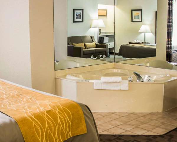  - Comfort Inn Birch Run - I-75, Exit 136