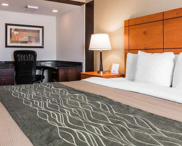  - Comfort Inn Detroit Airport Romulus