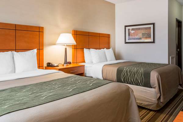  - Comfort Inn Detroit Airport Romulus