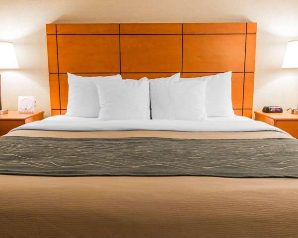  - Comfort Inn Detroit Airport Romulus