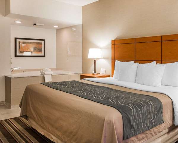  - Comfort Inn Detroit Airport Romulus