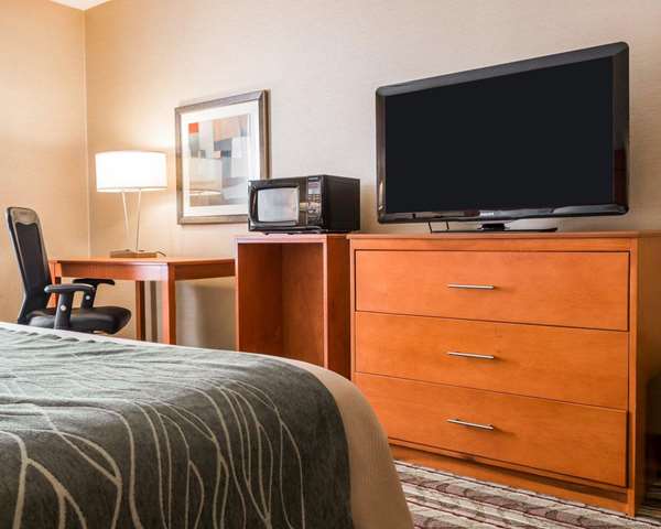  - Comfort Inn Detroit Airport Romulus