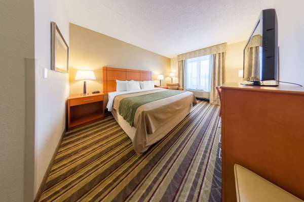  - Comfort Inn Detroit Airport Romulus