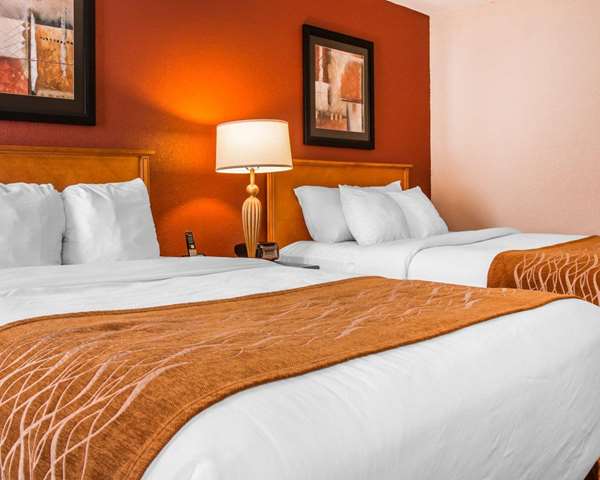  - Comfort Inn University Park Mt Pleasant