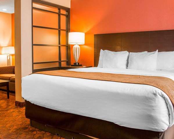 Suite - Comfort Inn University Park Mt Pleasant