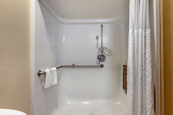 Suite - Comfort Suites Auburn Hills - I-75, Exit 79