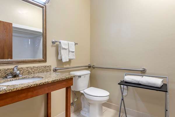 Suite - Comfort Suites Auburn Hills - I-75, Exit 79