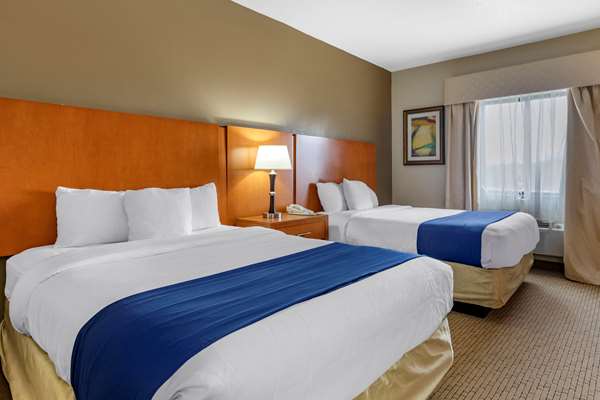 Suite - Comfort Suites Auburn Hills - I-75, Exit 79