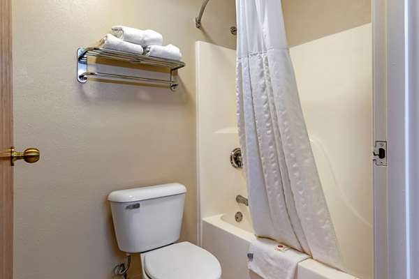Suite - Comfort Suites Auburn Hills - I-75, Exit 79