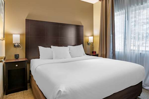  - Comfort Inn & Suites Paw Paw