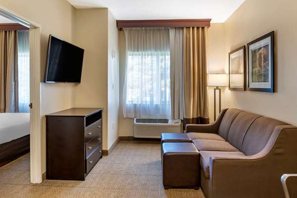 Suite - Comfort Inn & Suites Paw Paw