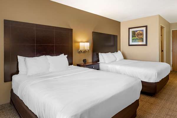  - Comfort Inn & Suites Paw Paw