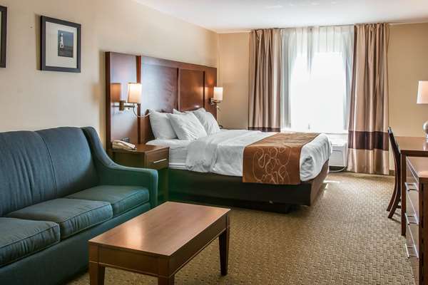 Suite - Comfort Suites Wixom - I-96, Exit 159