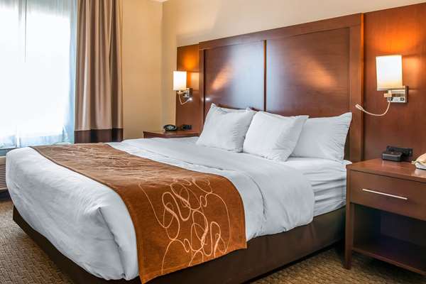 Suite - Comfort Suites Wixom - I-96, Exit 159